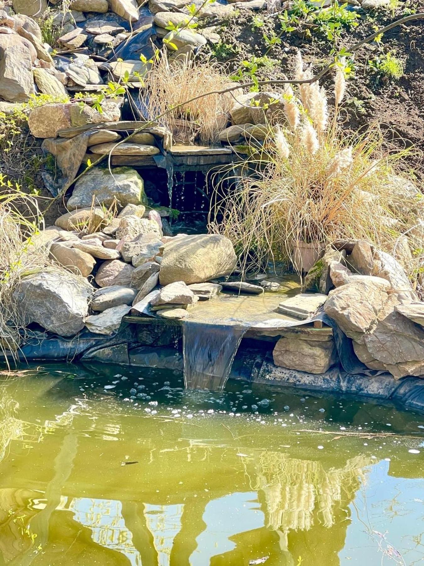 Casa Din Povesti In Mijlocul Naturii! أراد المظهر الخارجي الصورة